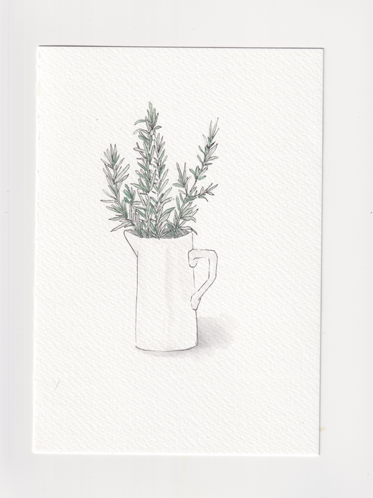 Daily Illustration - Day 7 - Rosemary in vase