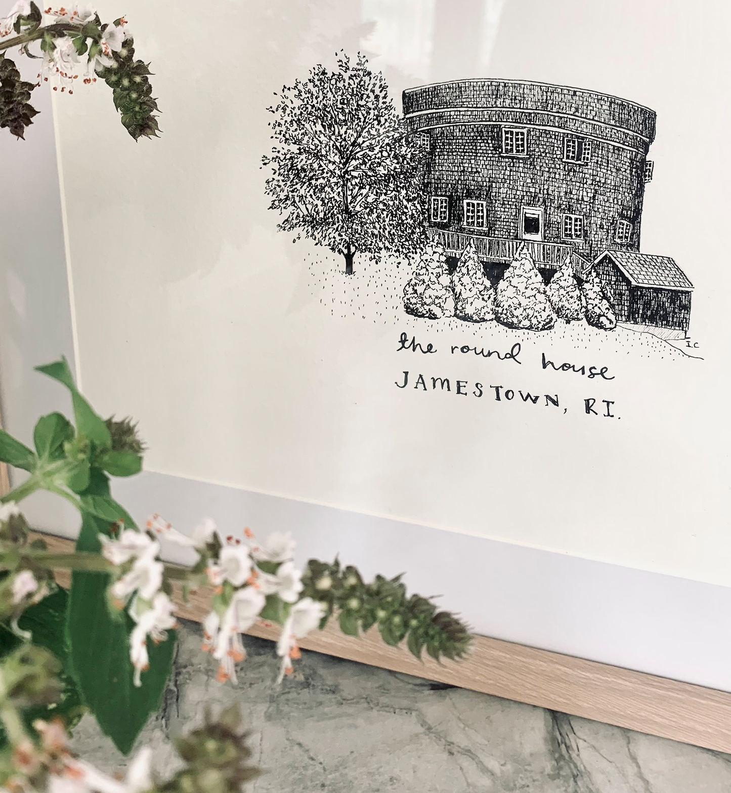 House illustrations