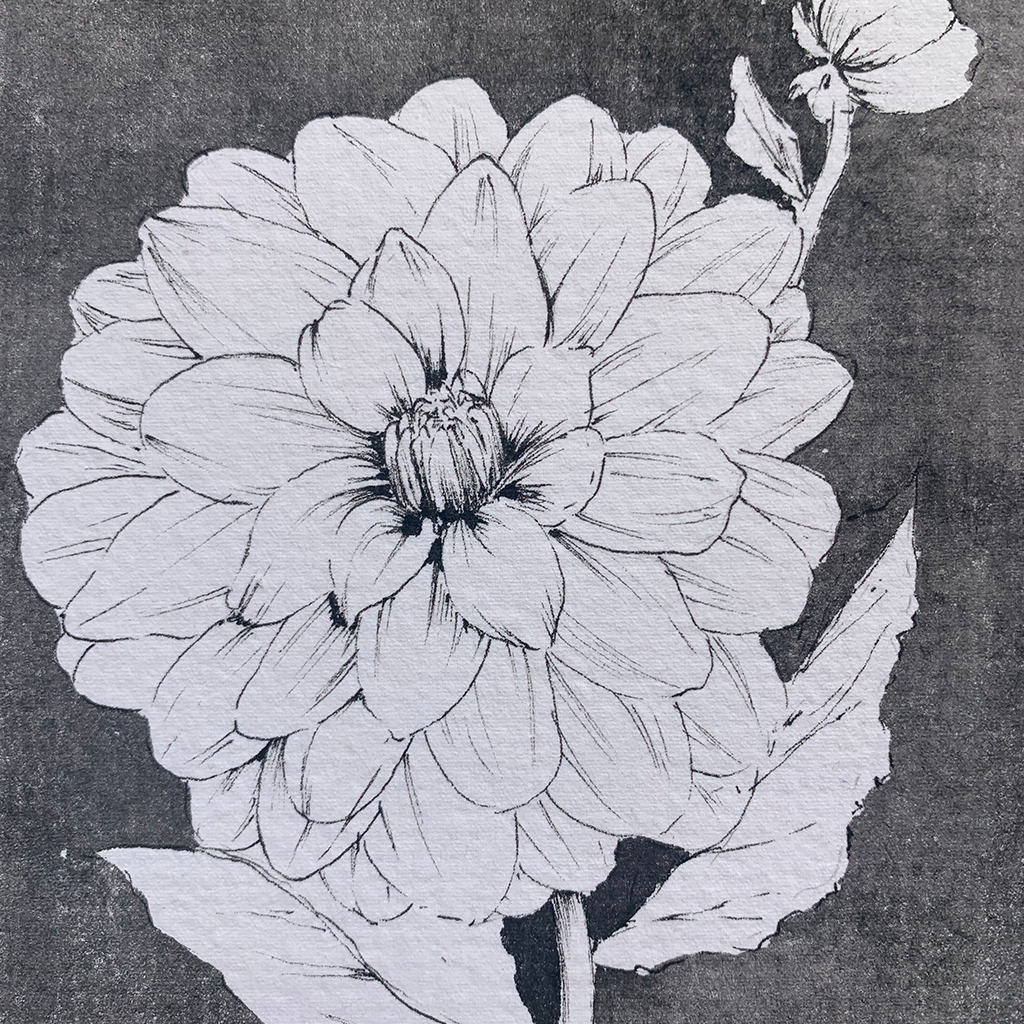 Monochromatic love - Dahlia