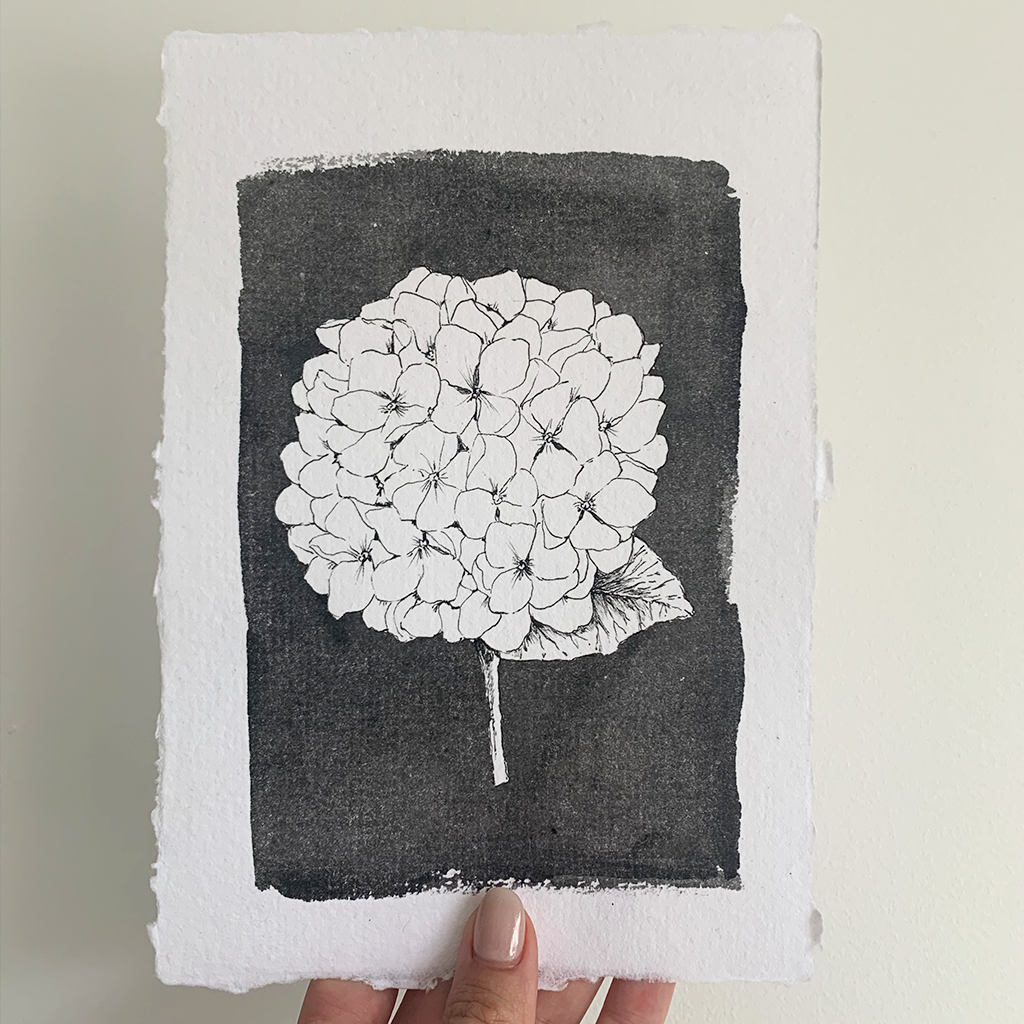 Monochromatic love - Hydrangea