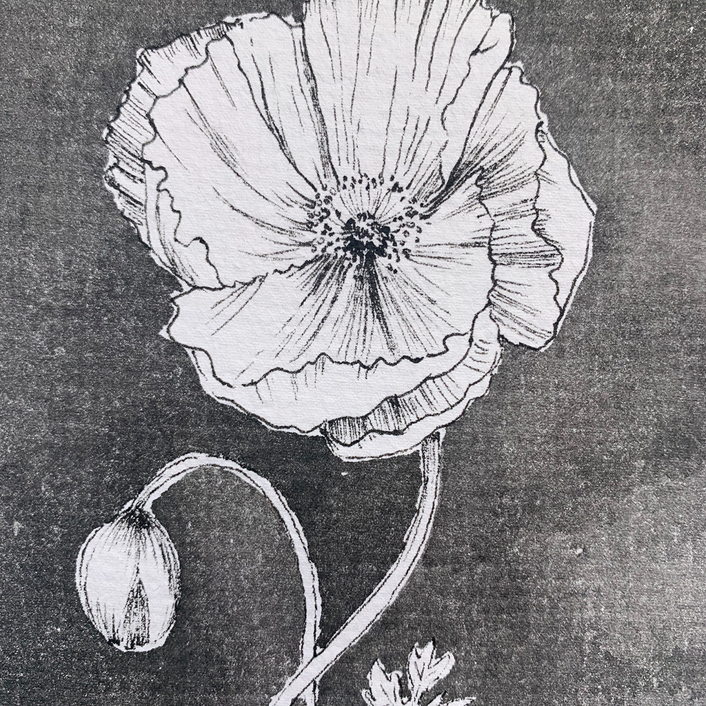 Monochromatic love - Poppy