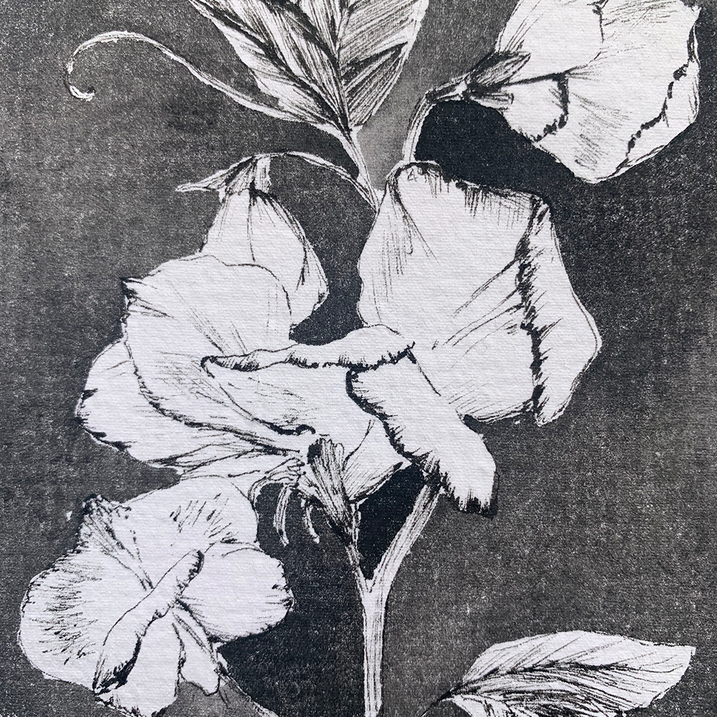 Monochromatic love - Sweet pea