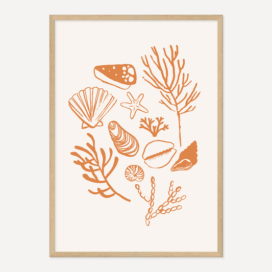 PAINTE SHELLS POSTER - CORAL