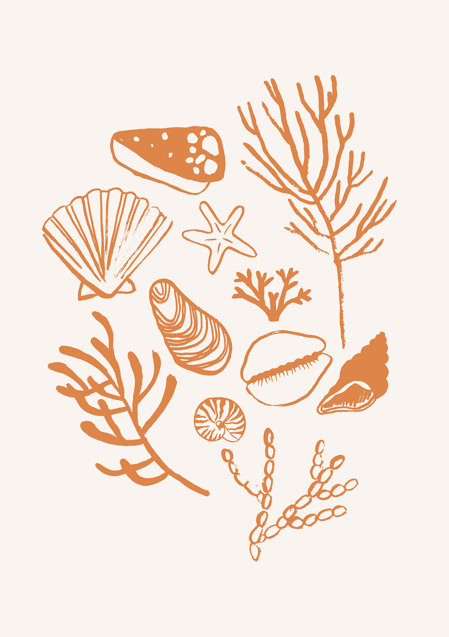 PAINTE SHELLS POSTER - CORAL