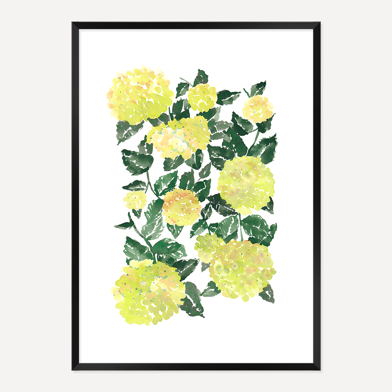 WATERCOLOUR HYDRANGEA POSTER - GREEN