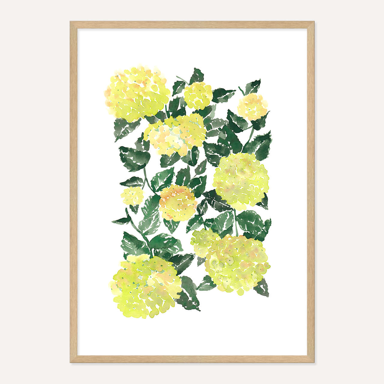 WATERCOLOUR HYDRANGEA POSTER - GREEN