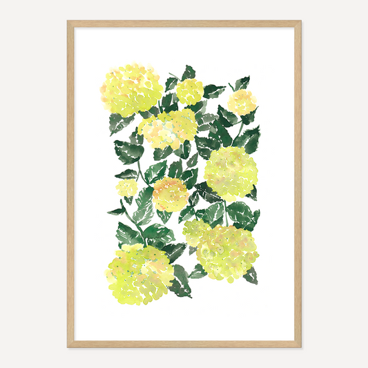 WATERCOLOUR HYDRANGEA POSTER - GREEN