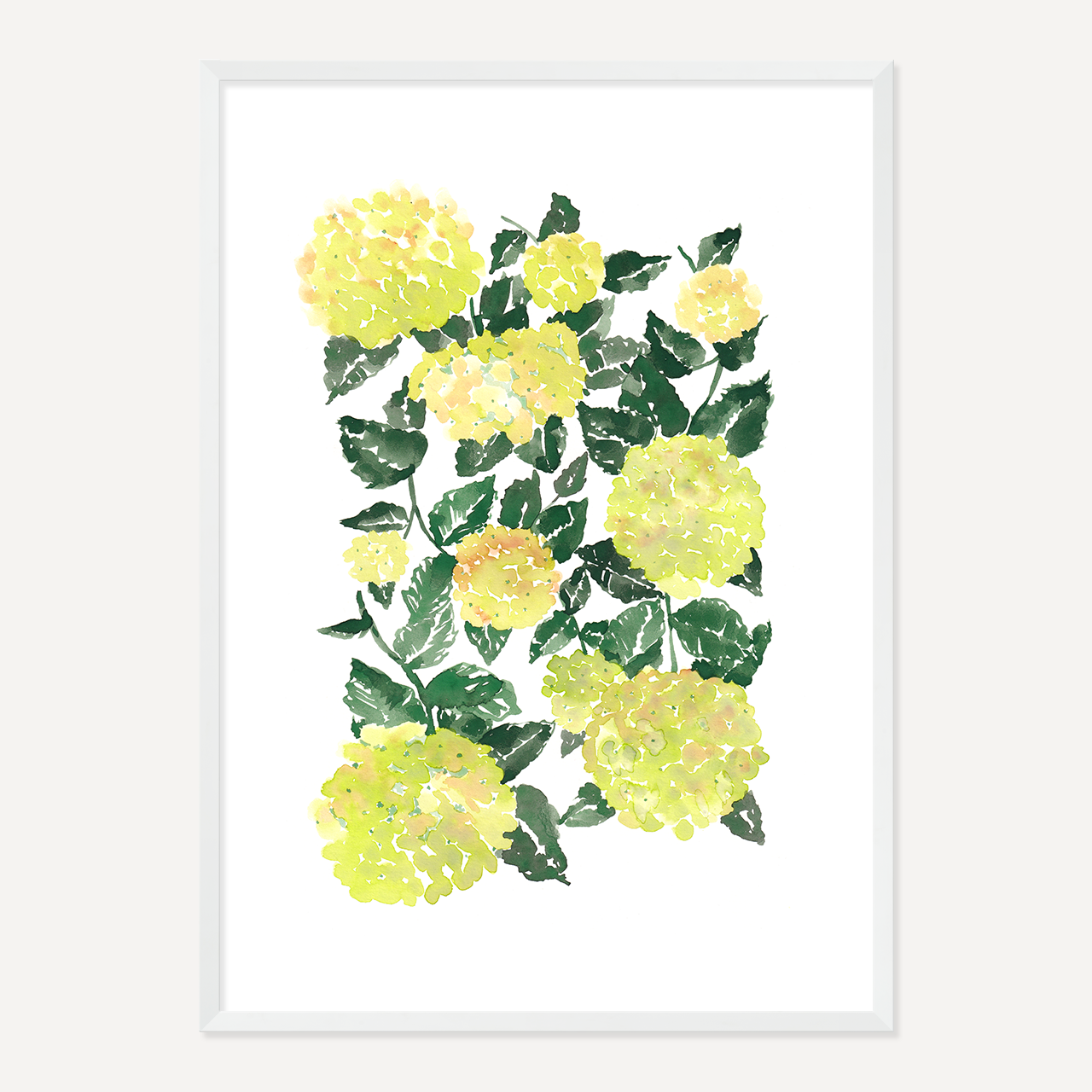 WATERCOLOUR HYDRANGEA POSTER - GREEN