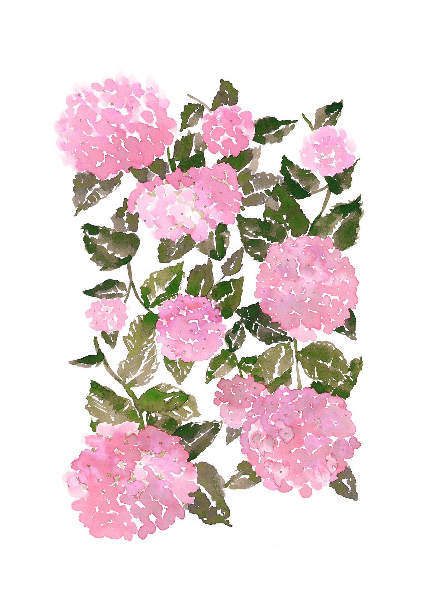 WATERCOLOUR HYDRANGEA POSTER - PINK