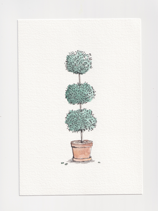 Daily Illustration - Day 13 - Topiary tree