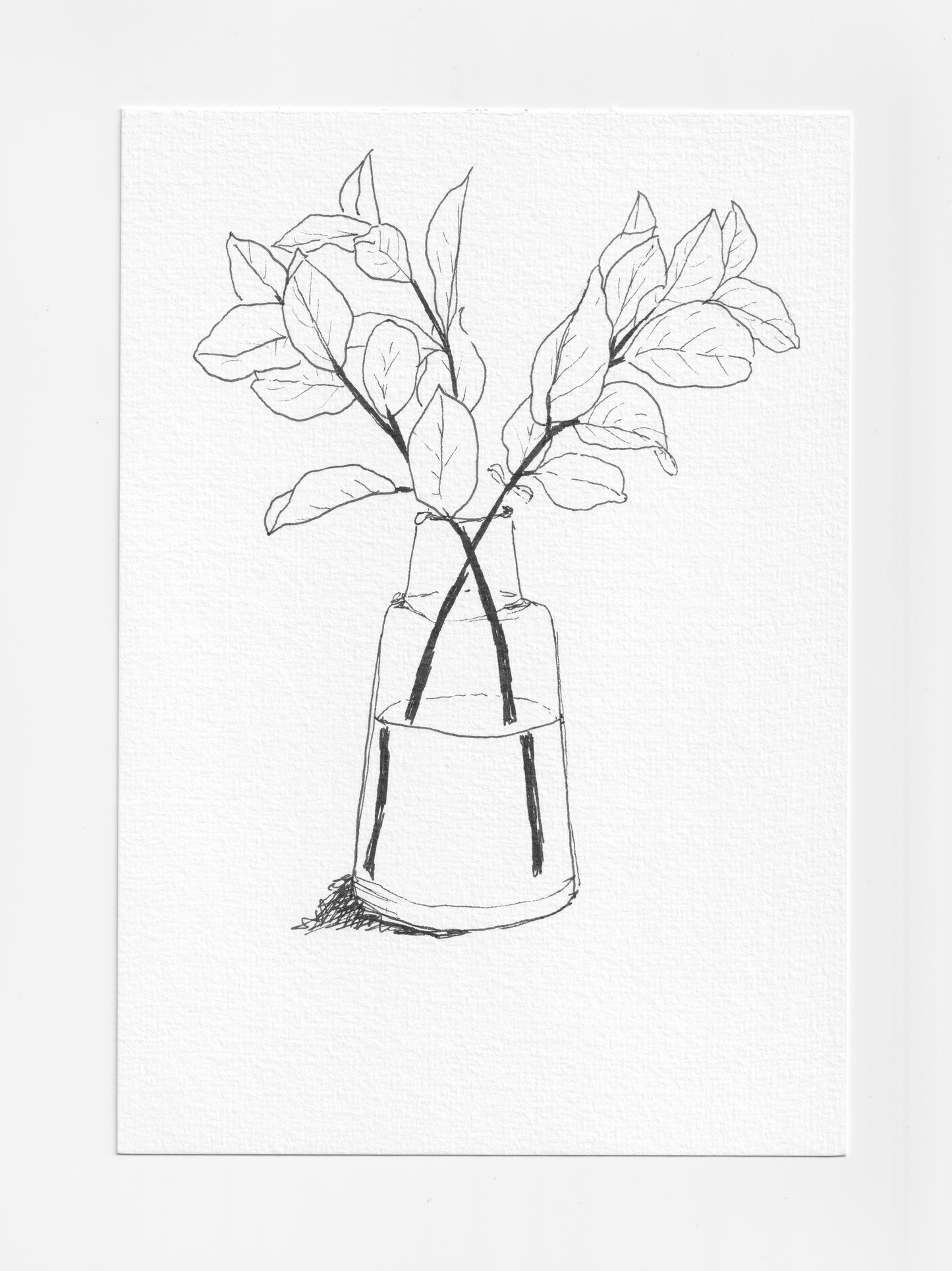 Daily Illustration - Day 27 - Viburnum leaf in vase