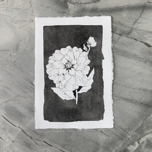 Monochromatic love - Dahlia