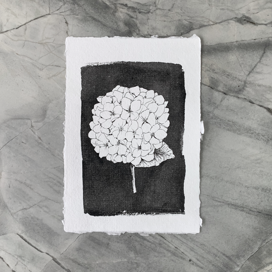 Monochromatic love - Hydrangea