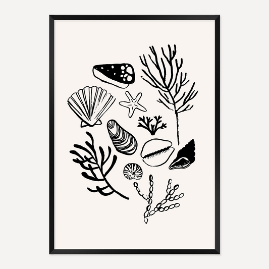 PAINTED SHELLS POSTER - BLACK