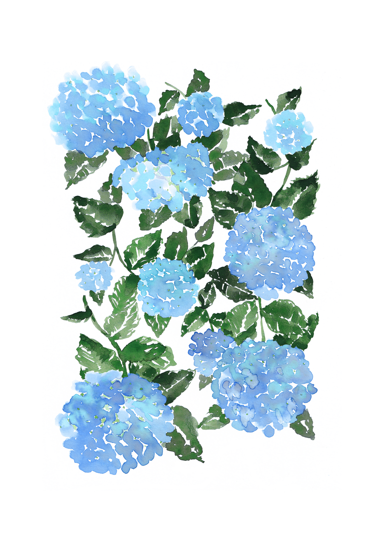 WATERCOLOUR HYDRANGEA POSTER - BLUE